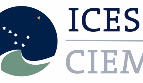 ICES past publicatie vangstadviezen aan