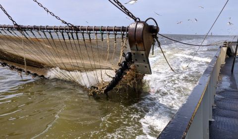 Stikstofreductie grote uitdaging kustvisserij